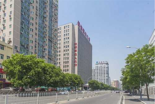 梁溪区盆栽绿植零售公司